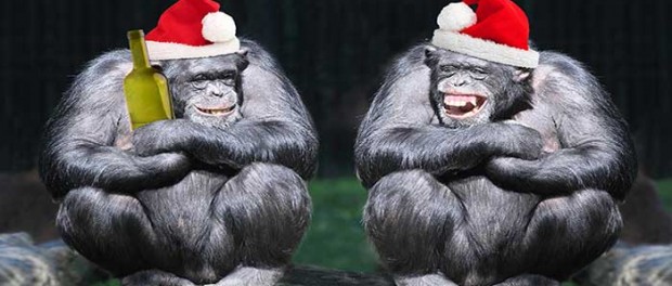 20141224_santa-ape_73674122