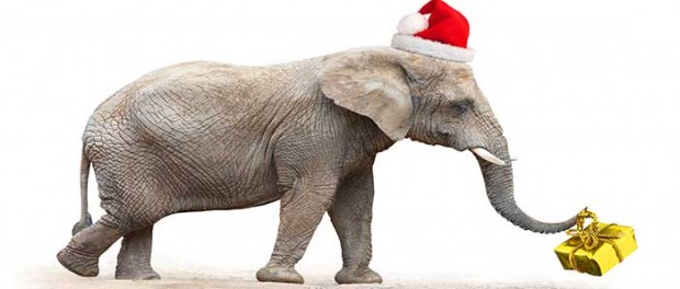 20141224_santa-elephant_71012217
