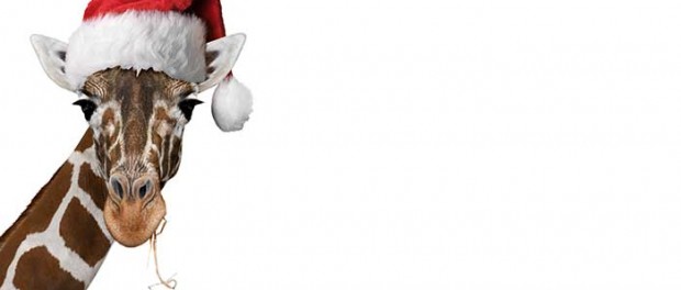 20141224_santa-giraffe_28075197