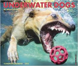 calendar_underwater