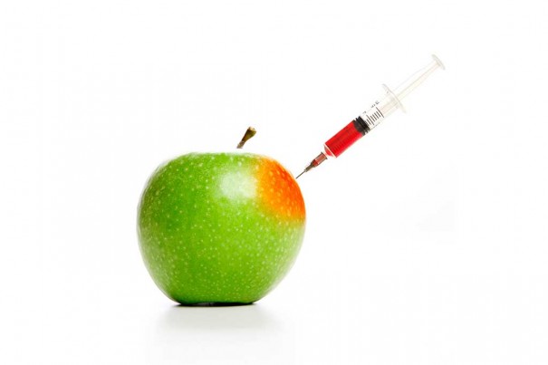 20151027_treats-apples_62820533