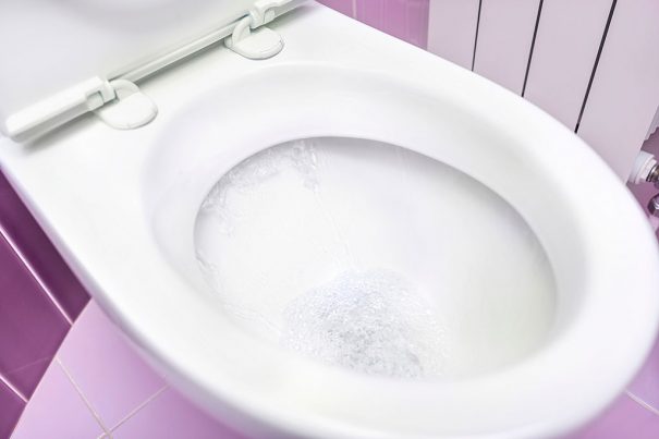 20161010_diy-toiletseat_100823332